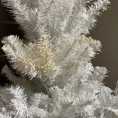 クリスマスツリーの画像