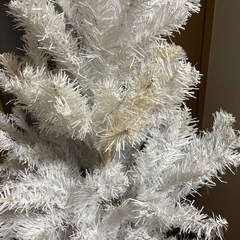 クリスマスツリーの画像