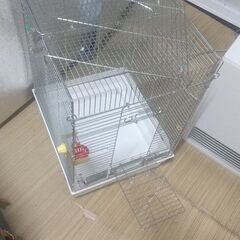 インコ ケージ(受付一時停止中)の画像
