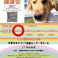 1月19日　保護犬　保護猫　譲渡会