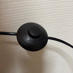 アイリスオーヤマ　フロアライト　ブラック　美品！おしゃれの画像