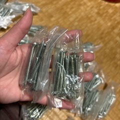 枠固定ビス4×50の画像