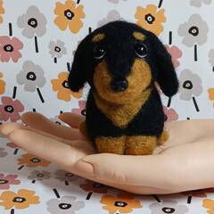 お座り！まだだよー　お腹すいたよー　だっくすちゃん　羊毛の画像