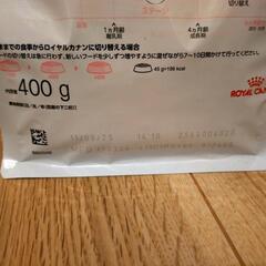 《大幅値下げ》ロイヤルカナン 成長前期の子猫用 400g

の画像