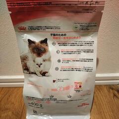 《大幅値下げ》ロイヤルカナン 成長前期の子猫用 400g

の画像