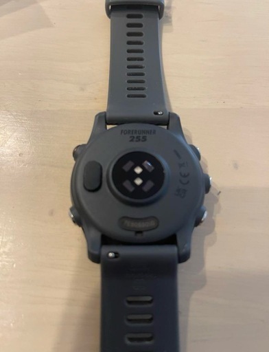 Garmin255