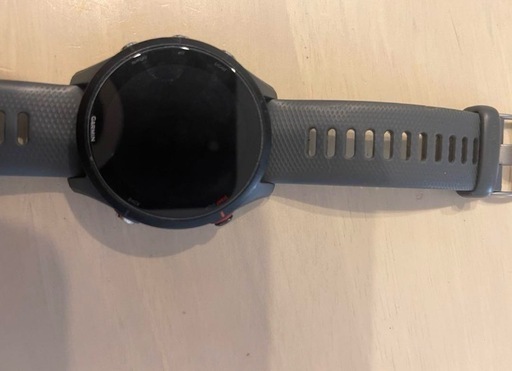 Garmin255