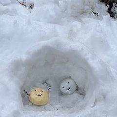 1月19日（日） 新幹線🚄でガーラ湯沢へ滑りに… - 東京