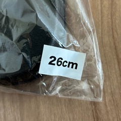 ★希少　ザスパ群馬　シャワーサンダル　新品未開封★ザスパクサツ群馬　ザスパ草津　エンブレム　夏ザスパ　スリッパの画像