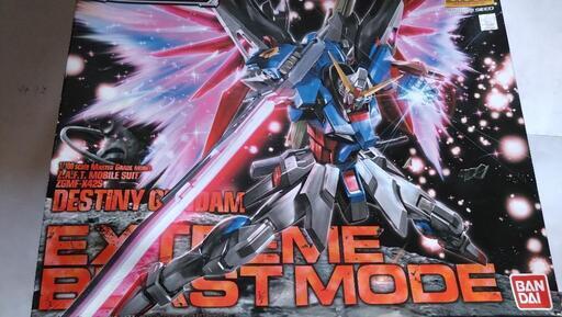 手付品MGデスティニーガンダム
