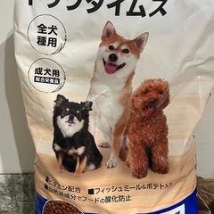 ドッグフード