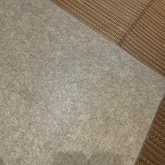 シャープ　ホットカーペットの画像