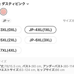 【女性限定】SHIEN 水着 レディース 4XLの画像