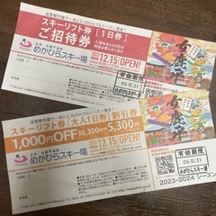 めがひらスキー場　リフト券