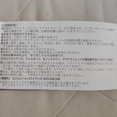 ハワイアンズ入場券　スパリゾート　いわき市　半額の画像