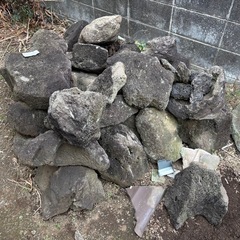 大きい軽石