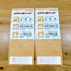 明日まで！沖縄おきなわワールドチケット２枚