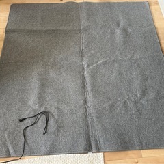 ホットカーペットの画像