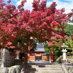 ご飯とか行きたいですね！