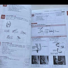 理学療法士・作業療法士国家試験必修ポイント障害別PT治療学 : 領域別理学療法の画像