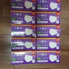 マスク 不織布 レギュラー 10箱の画像