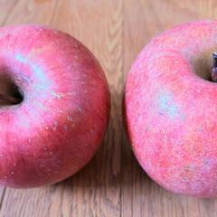 山形のサンふじ🍎2個②