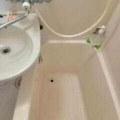 【24時間レスキュー】突然のトイレ、浴室排水口の詰まり！キッチンシンク下の水漏れ対応します！ - ハウスクリーニング