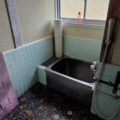 日高川町熊野川の住宅、弥谷の山林 - 日高郡
