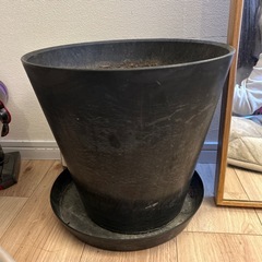 ジャーナルスタンダードファニチャー植木鉢