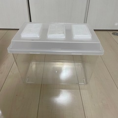 小蝿防止飼育ケース6個　あげます