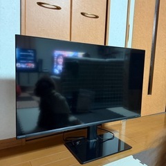 チューナーレステレビ 