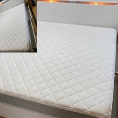引き取りありベット