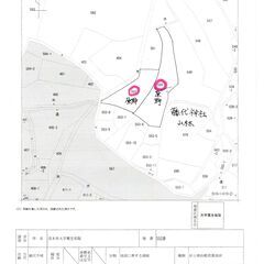 売り山林　総額２５０万円　土地　347.87坪 - 不動産