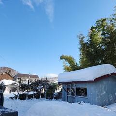 草刈り 庭木 伐採 - 地元のお店