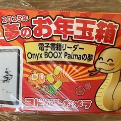 ヨドバシ　お年玉箱　電子書籍リーダー Onyx BOOX Palma