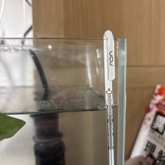 ベタ　水槽付きの画像