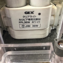 GEXクライアントカリビア600の画像