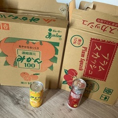 【お話中】ジュース30本‼️みかん100 プラムスカッシュ
