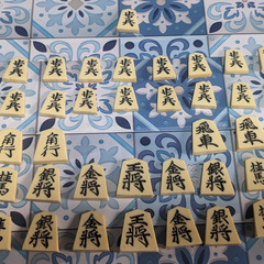 ☖将棋☗御将基駒の画像