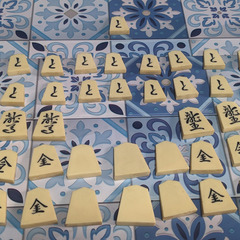 ☖将棋☗御将基駒の画像