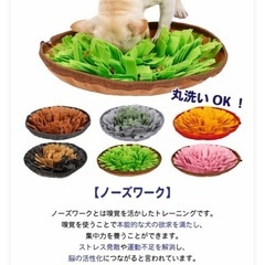 ノーズワークマット