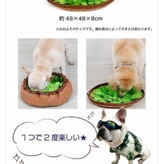 ノーズワークマットの画像