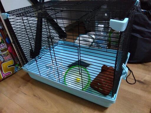 ハムスターの飼育セット