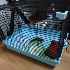 ハムスターの飼育セットの画像