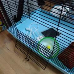 ハムスターの飼育セットの画像