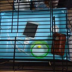 ハムスターの飼育セットの画像