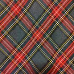 ロングスカートの画像