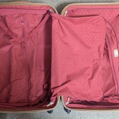 【愛知】DELSEY（デルセー） シャトレ  Lサイズ　スーツケース☆旅行カバンの画像