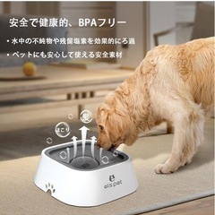 犬　水飲みの画像
