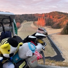 NanMori Golf 新規メンバー募集⭐️ − 大阪府